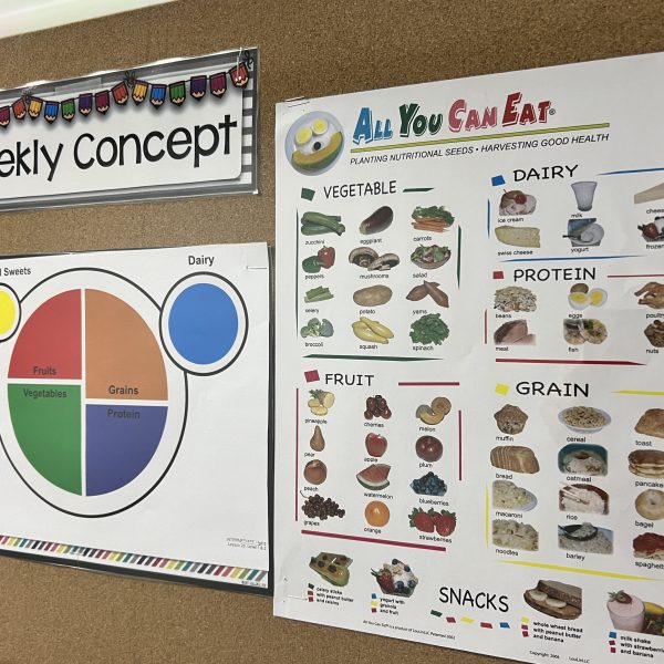 Food curriculum bulletin board in HH School